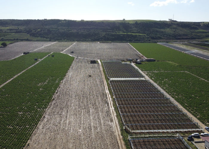 The Emeren Group's Acate project in Italy.