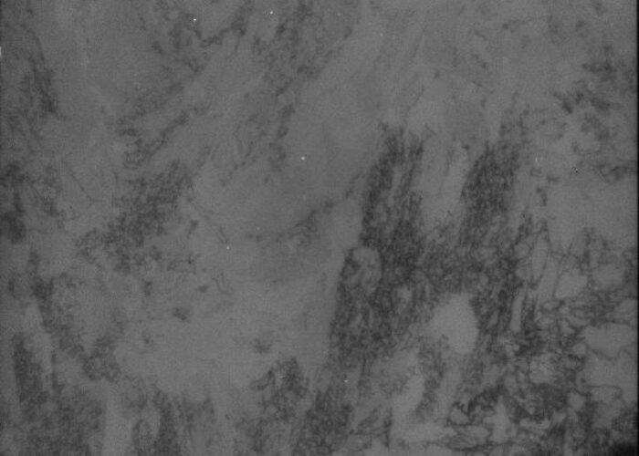 figure_3a