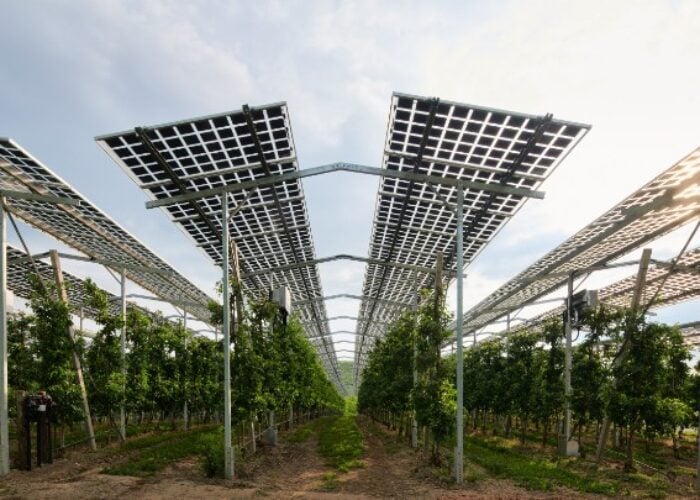 An agriPV project in Germany.