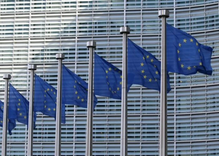 A line of EU flags.