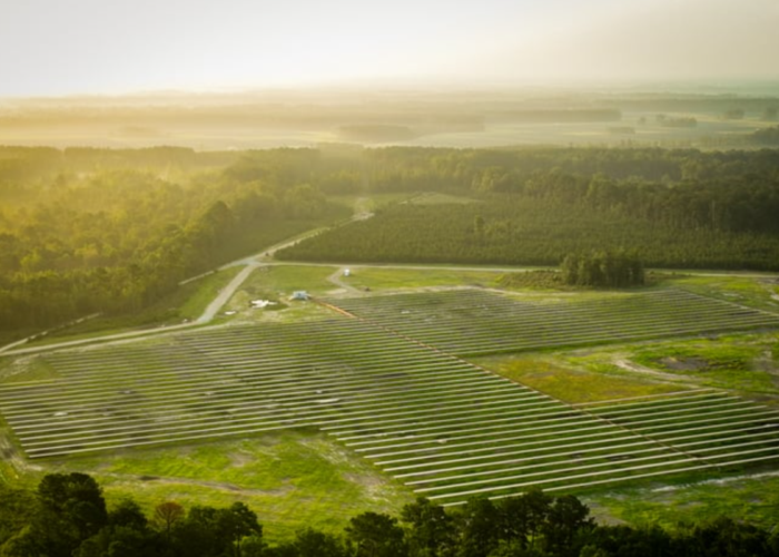 The Kingstree West solar project.