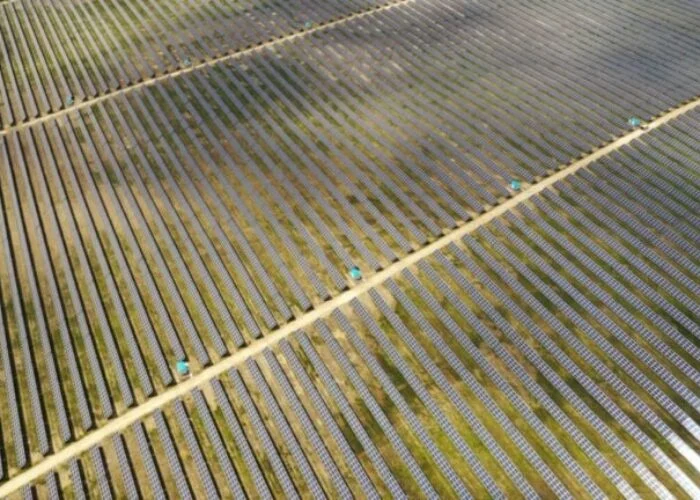 The projects named SAEL Solar MHP1 and SAEL Solar MHP2, were developed with an investment of nearly INR30 billion (US$311 million), spanning over 2,400 acres. Image: Unsplash.