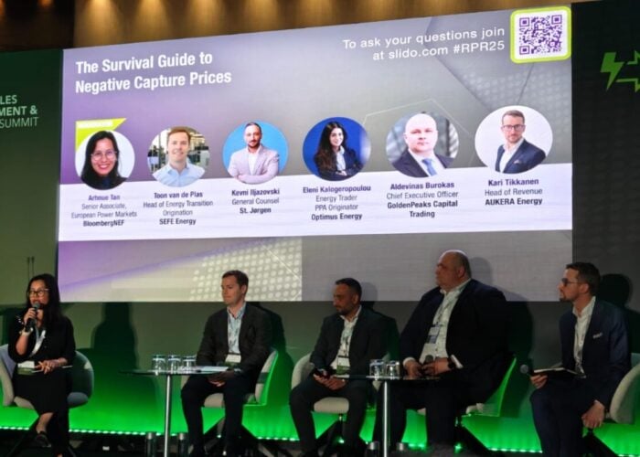 'Negative capture prices are here to stay,' said Arhnue Tan, first left. Image: Solar Media