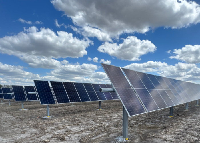 A Nexamp solar project.