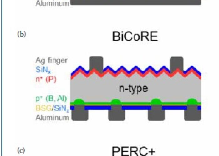 perc