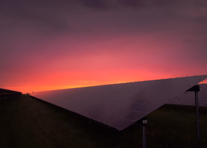 solar panels against a sunset