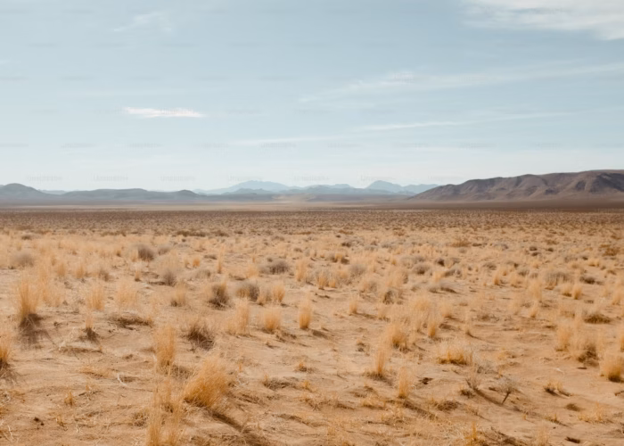 Image: Wesley Tingey via Unsplash