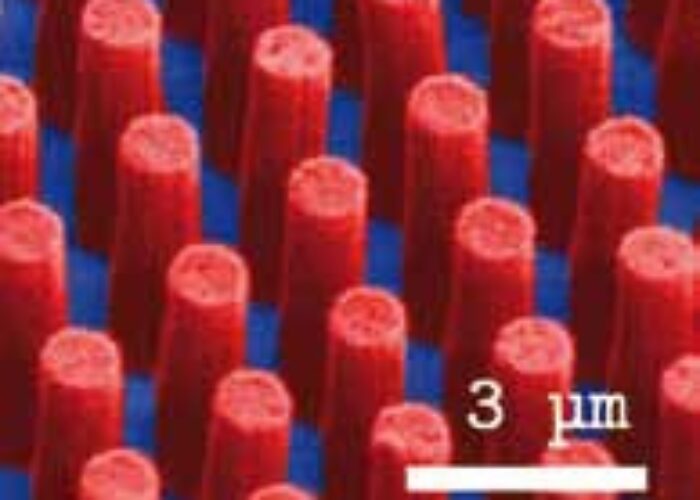 si_nanorod1