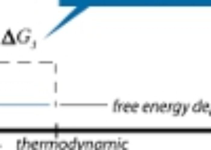 thermodynamic