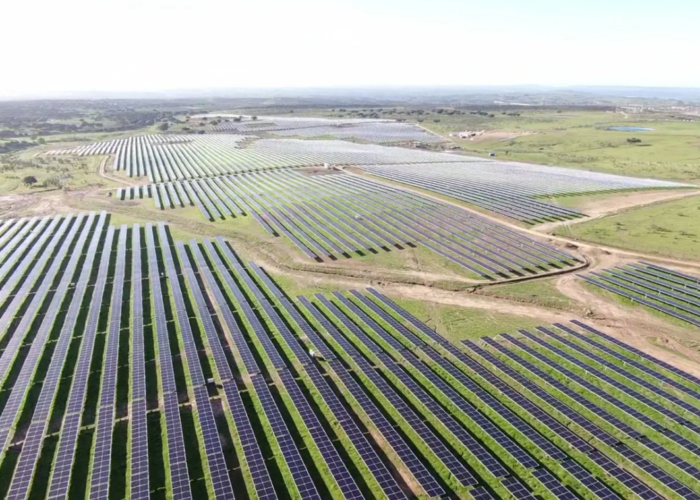 A Zelestra solar-plus-storage project.
